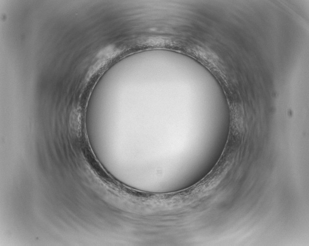 X0000060800016200511101431