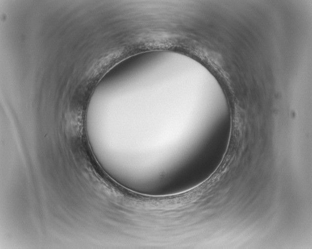 X0000060800017200511101431