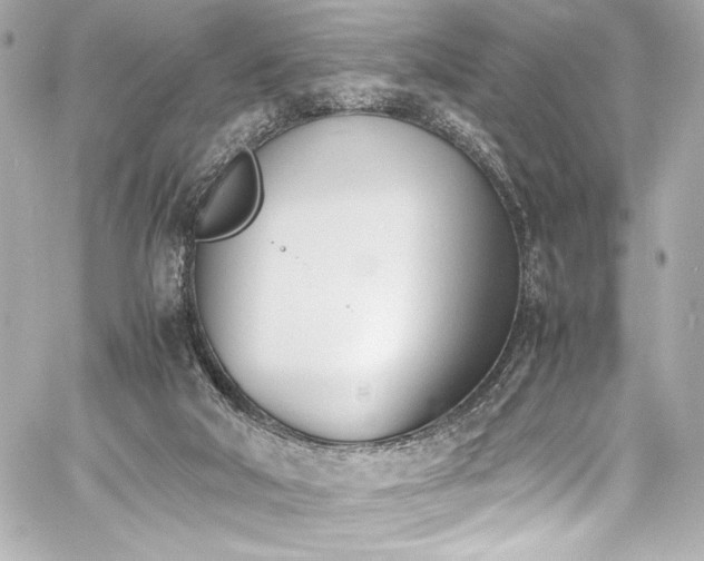 X0000060800018200511101431