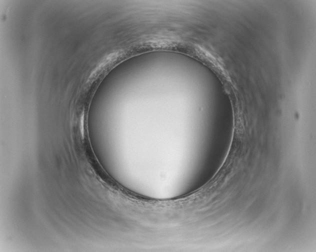 X0000060800019200511101431