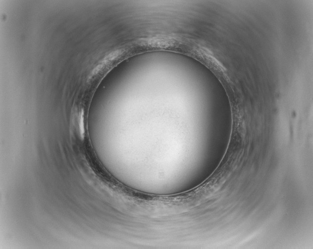 X0000060800020200511101431