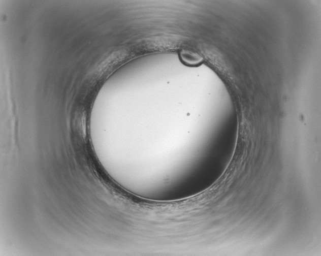 X0000060800021200511101431