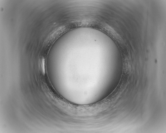 X0000060800022200511101431