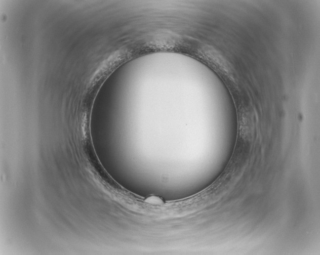 X0000060800023200511101431