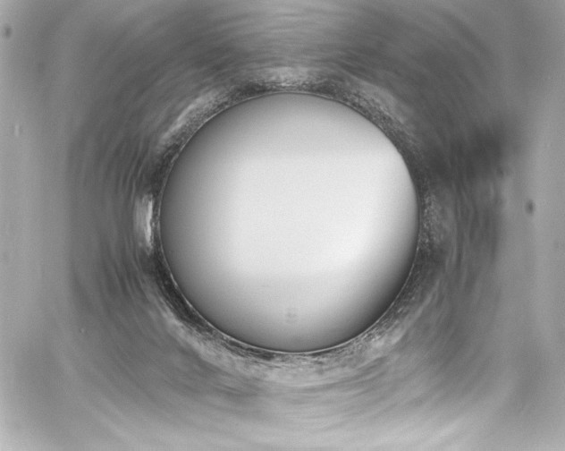 X0000060800024200511101431