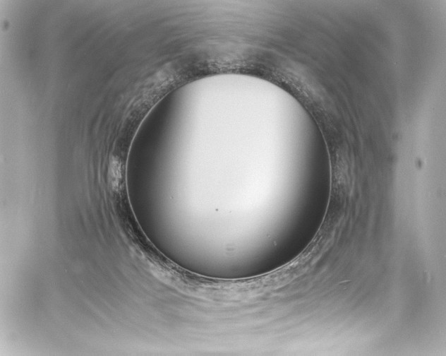 X0000060800025200511101431