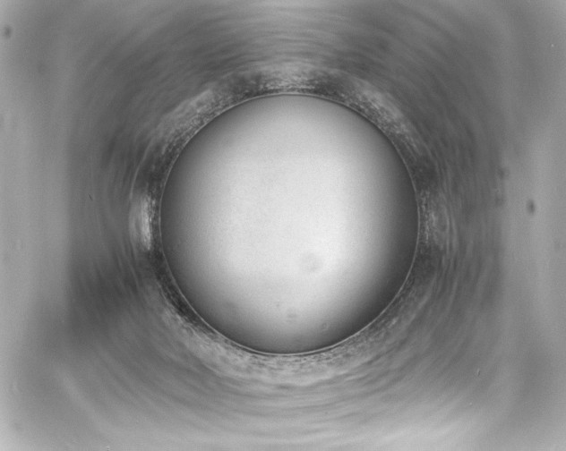 X0000060800026200511101431