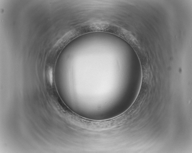 X0000060800027200511101431