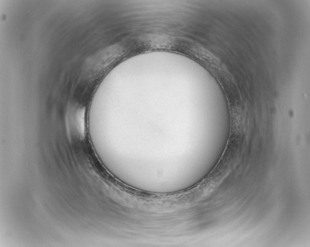 X0000060800028200511101431