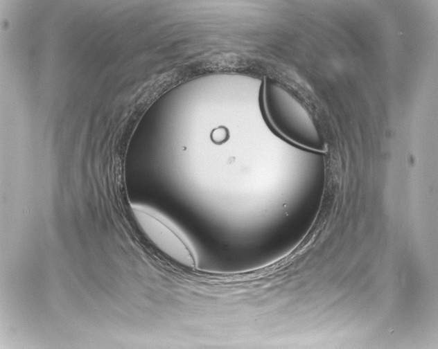 X0000060800029200511101431