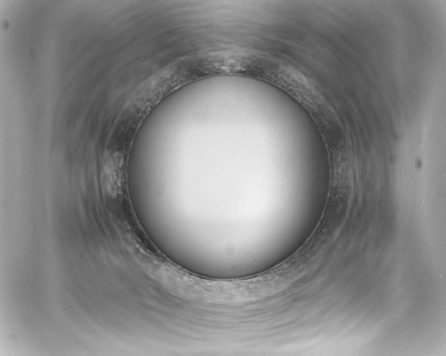 X0000060800030200511101431