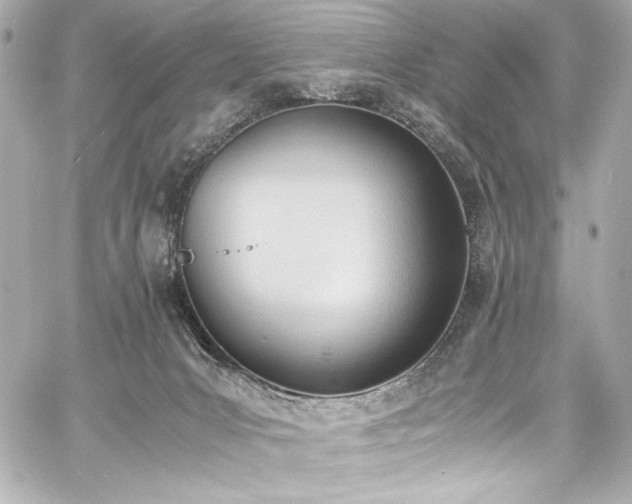 X0000060800031200511101431