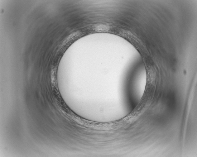 X0000060800032200511101431