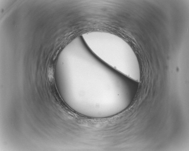 X0000060800033200511101431