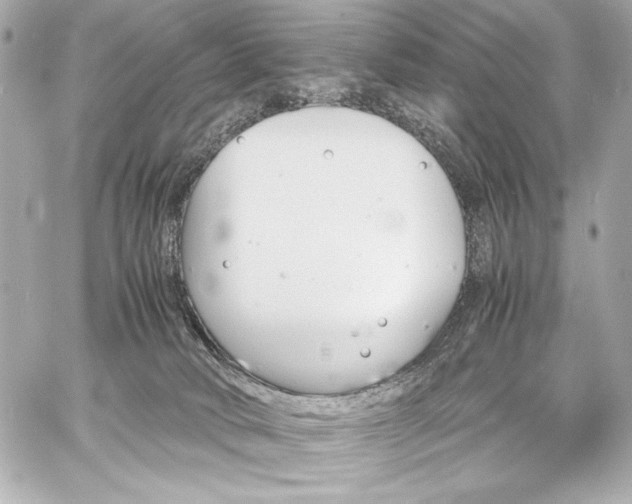 X0000060800034200511101431