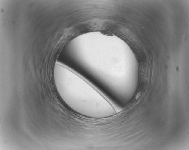 X0000060800035200511101431