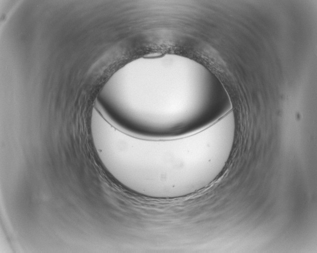 X0000060800037200511101431