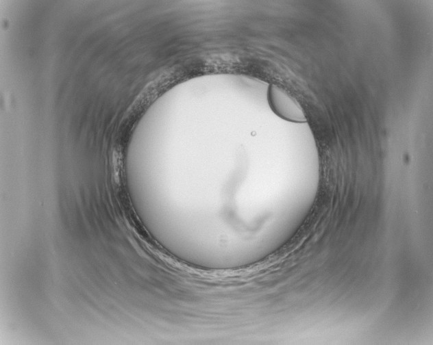 X0000060800038200511101431