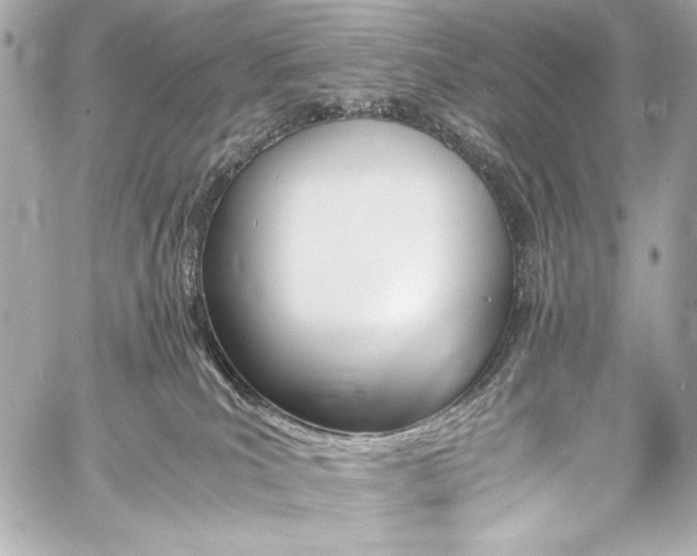 X0000060800039200511101430