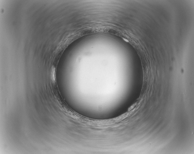 X0000060800041200511101430