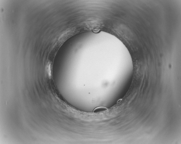 X0000060800042200511101430