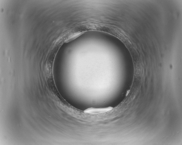 X0000060800043200511101430