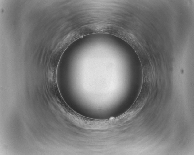 X0000060800044200511101430