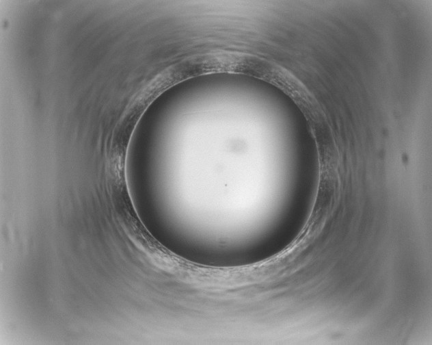 X0000060800045200511101430