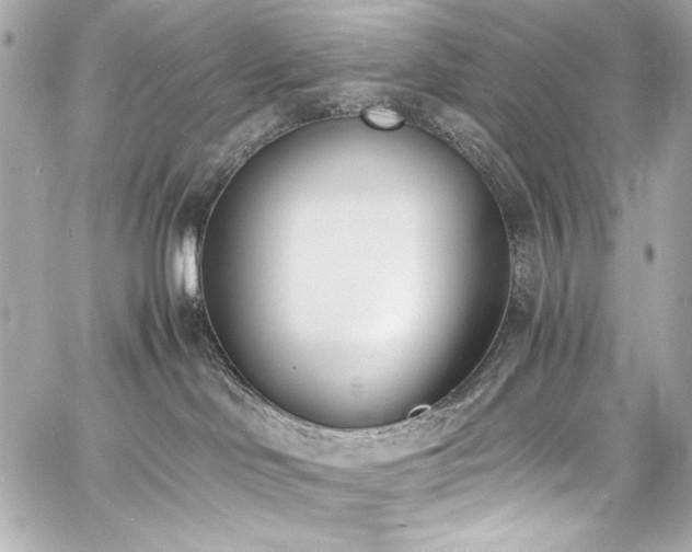 X0000060800046200511101430