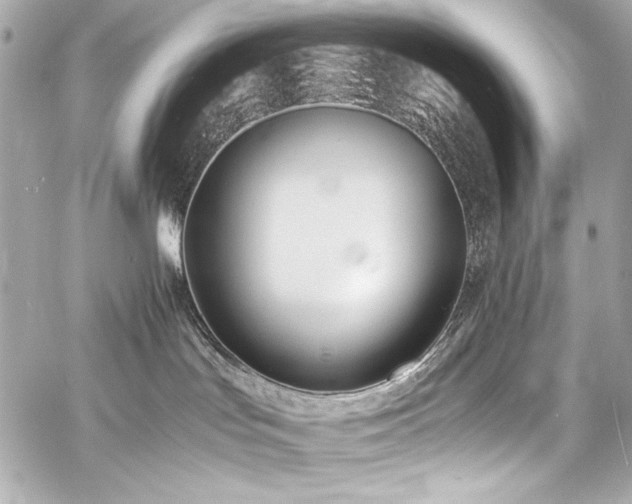 X0000060800047200511101430