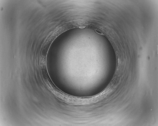 X0000060800048200511101430