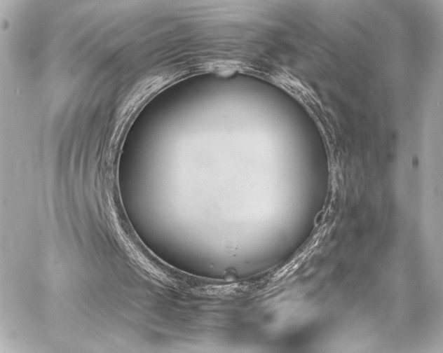 X0000060800049200511101429