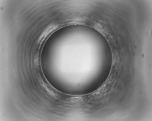 X0000060800050200511101429