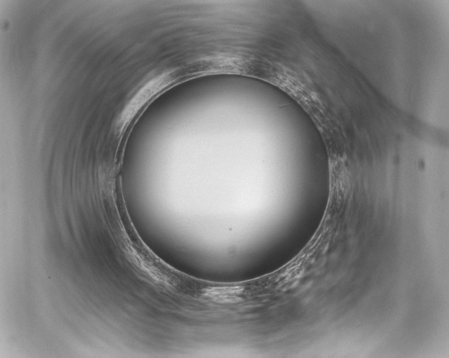 X0000060800051200511101429