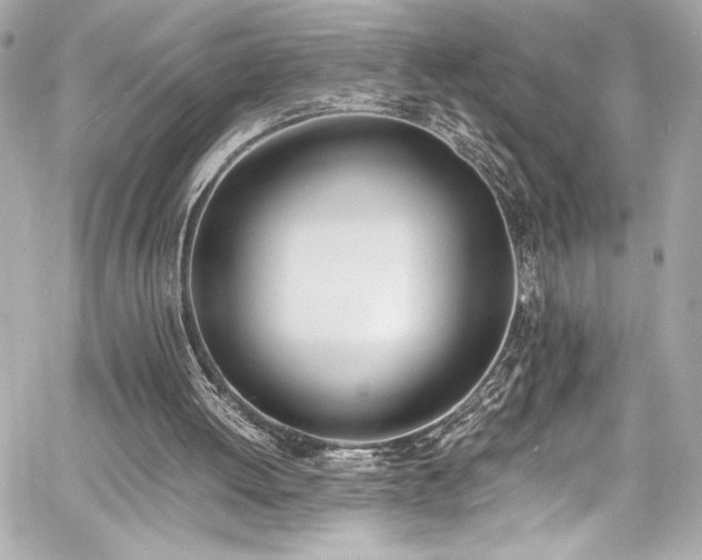 X0000060800052200511101429