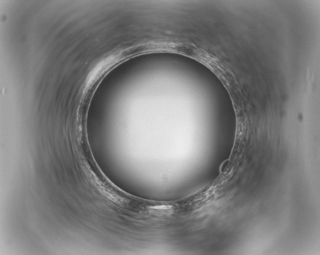 X0000060800053200511101429