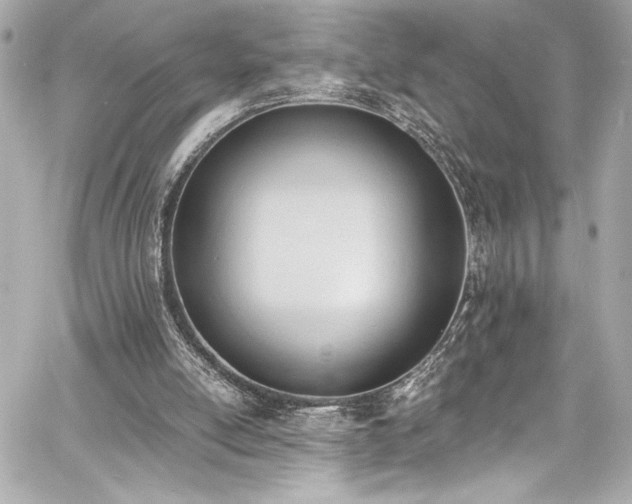 X0000060800054200511101429