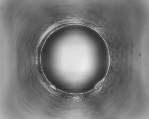 X0000060800056200511101430