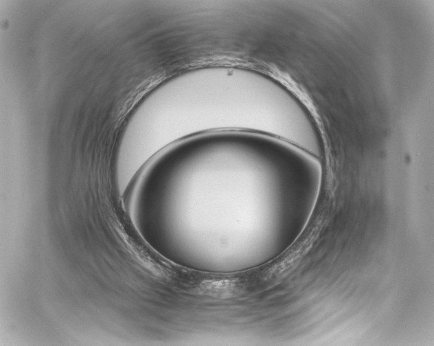 X0000060800057200511101430