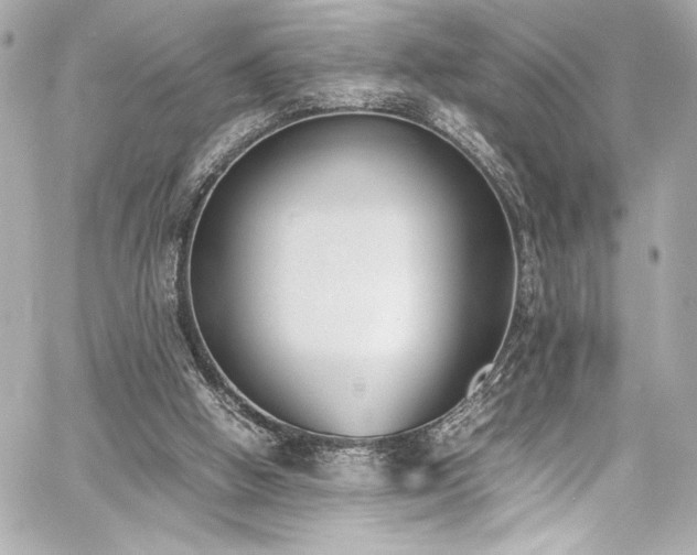 X0000060800058200511101430