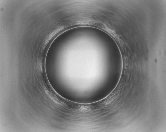 X0000060800060200511101430