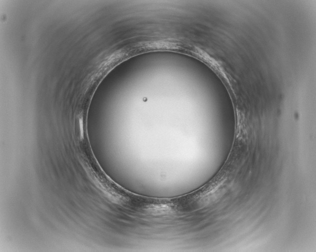 X0000060800061200511101430