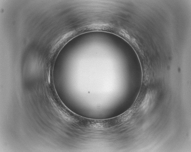 X0000060800062200511101430