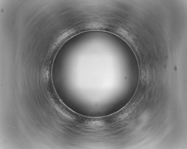 X0000060800063200511101430