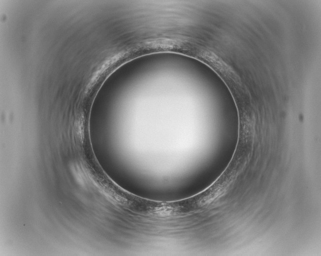 X0000060800064200511101430