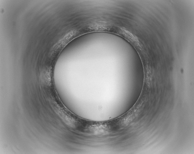 X0000060800065200511101430