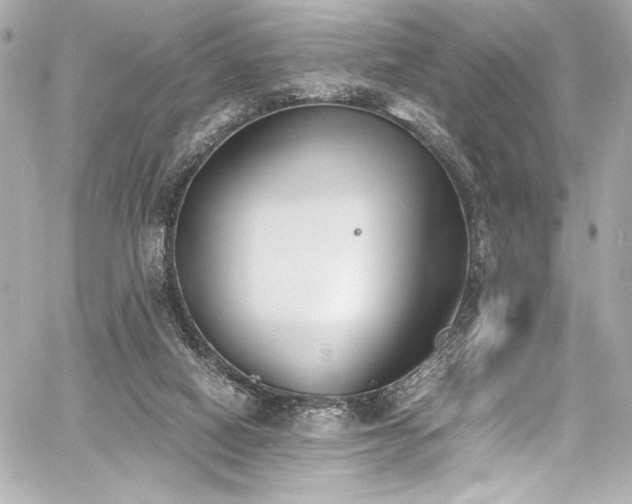 X0000060800066200511101430