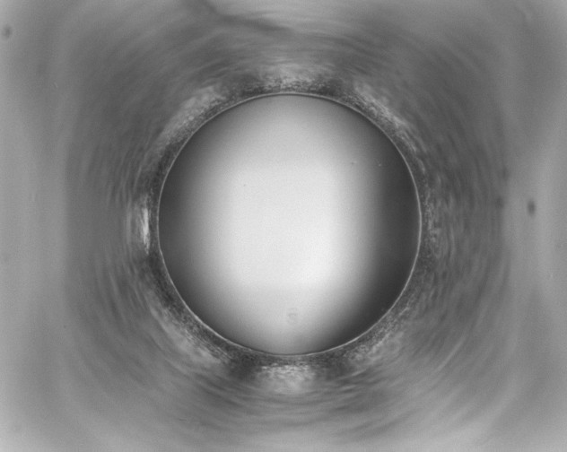 X0000060800067200511101430