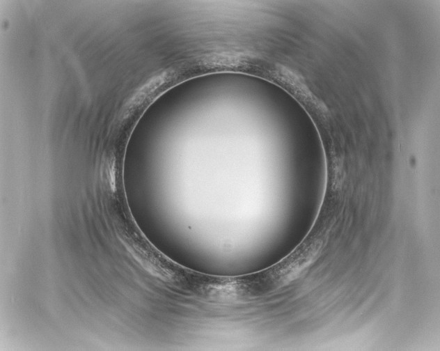 X0000060800068200511101430