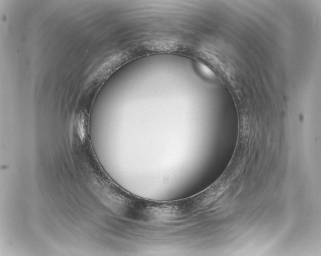 X0000060800069200511101430